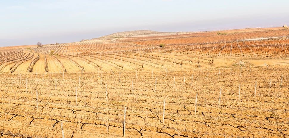 Water Security: Lessons from a Thirsty Planet